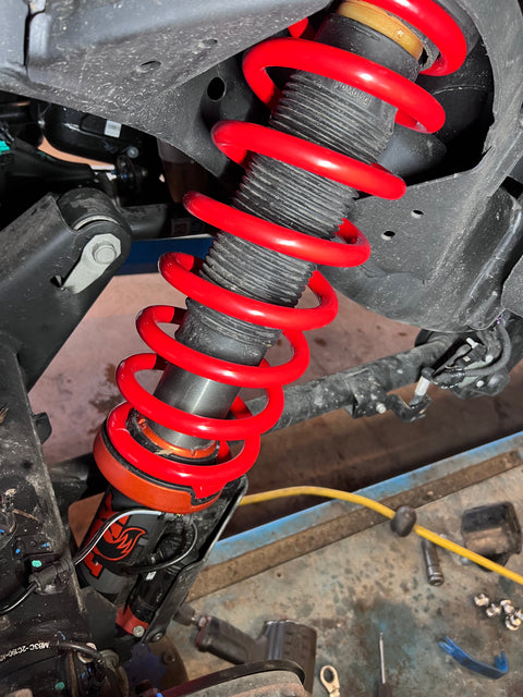 Ressorts PEDDERS +4 cm pour RAPTOR
